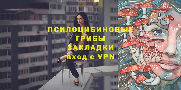 ECSTASY Богородицк