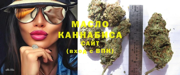 ECSTASY Богородицк