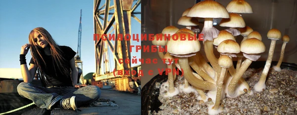 ECSTASY Богородицк