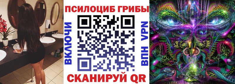 Галлюциногенные грибы Psilocybe  Купить  Курганинск 