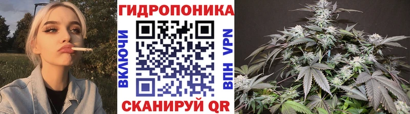Каннабис марихуана Курганинск